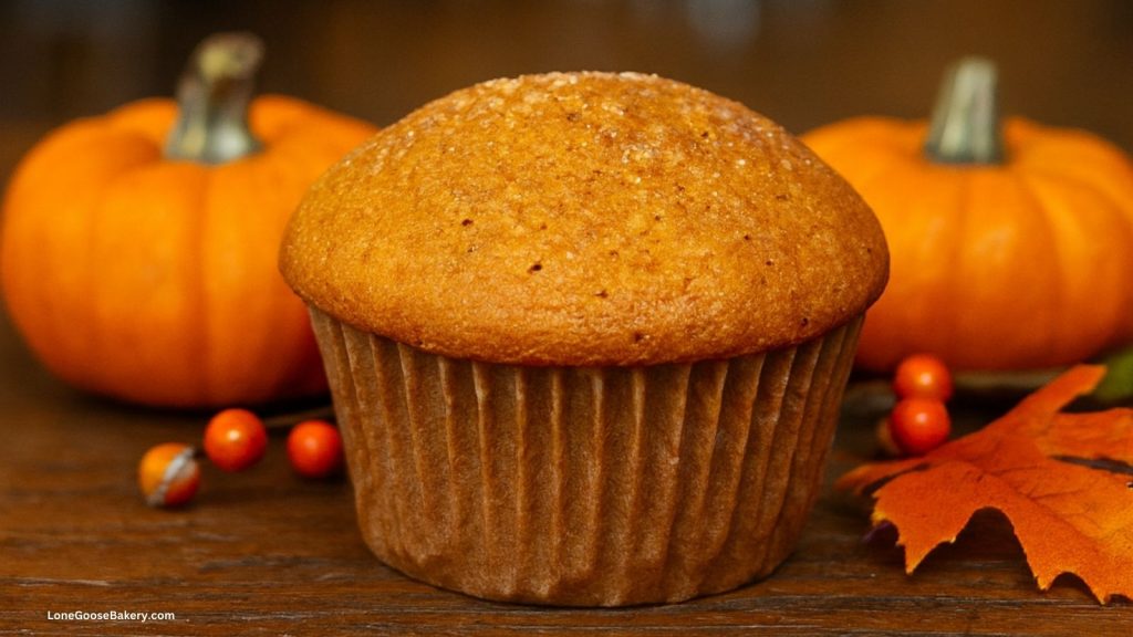 pumpkin muffin with pumpkins in background